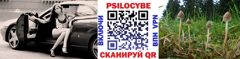 Псилоцибиновые грибы Psilocybine cubensis  Купить где  Богородск 